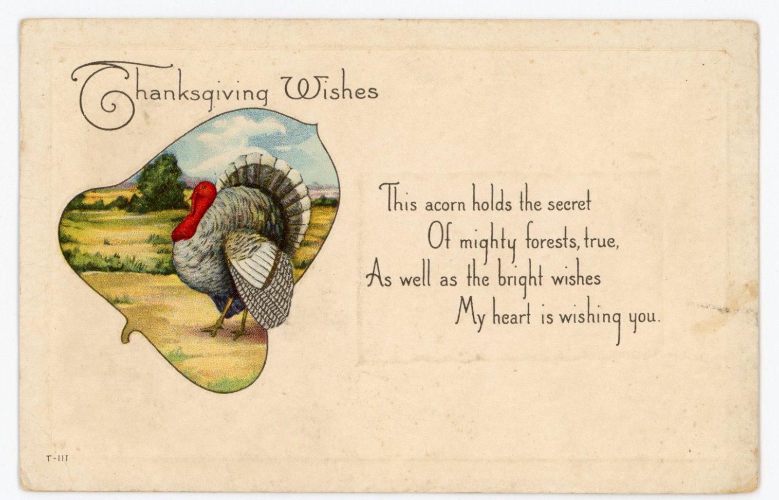 Vintage Postcard Thanksgiving Wishes Turkey In Acorn Shape Embossed Poem PM 1920