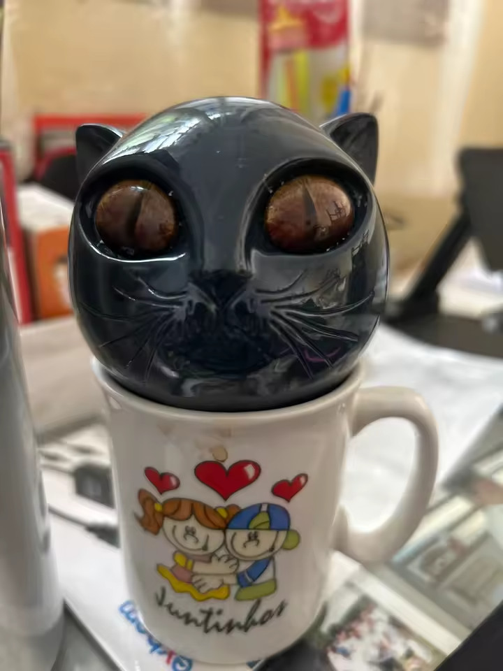 Black Cat Stone Figurine Resin Cat Head Marble Texture Healing Crystal Desk Deco