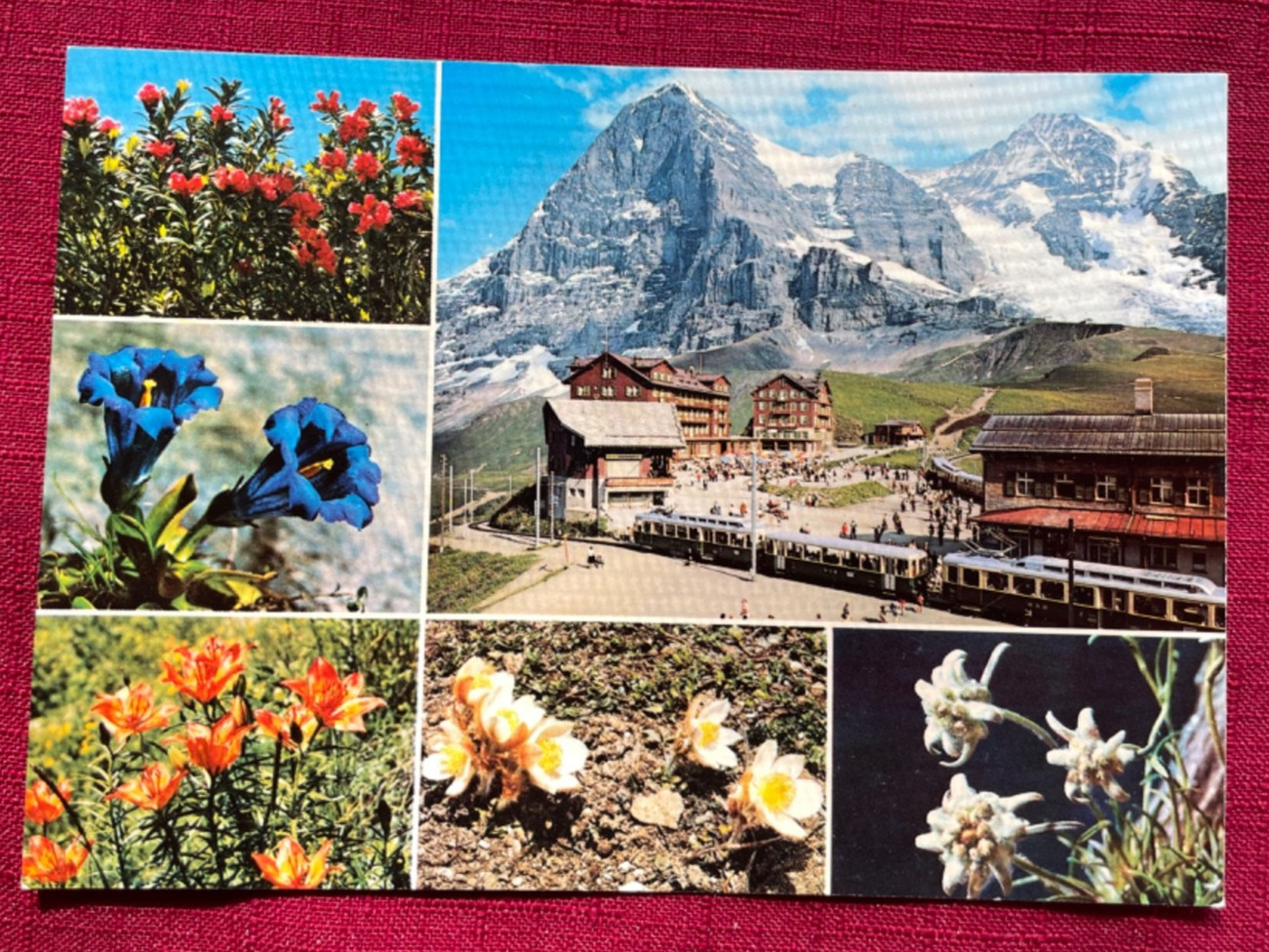 JOHN’S DEALS – SWITZERLAND – VINTAGE MULTI-VIEW POSTCARD KLEINE SCHEIDEGG