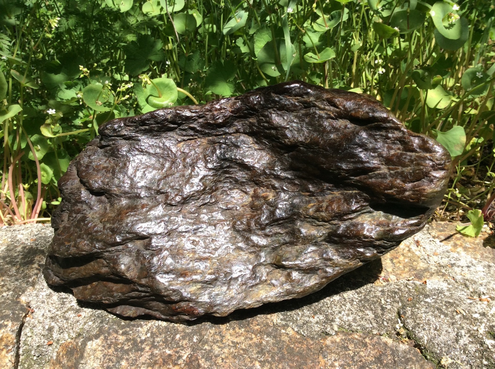 Big Sur Jade Vulcan Ocean Polish Boulder Nephrite Jade Stone Monterey California
