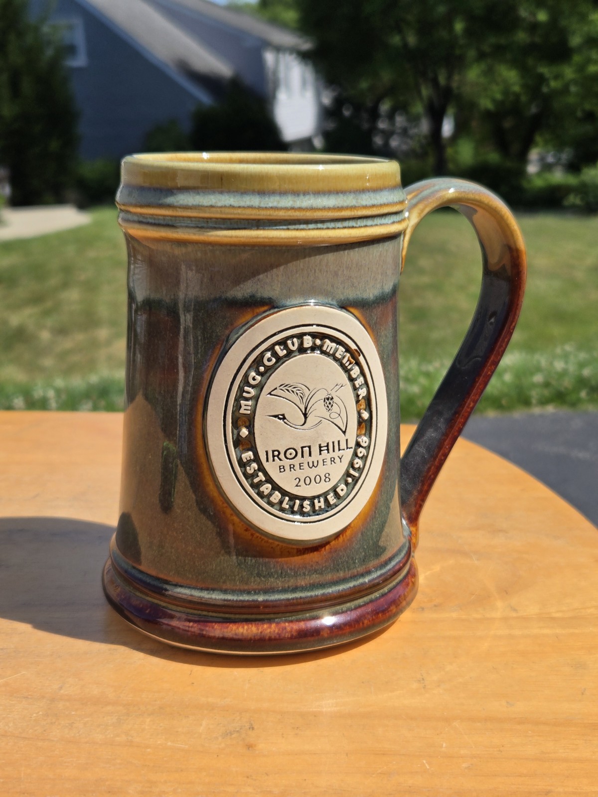 Iron Hill Brewery 2008 Mug Club Member Stein Drip Glaze Pottery Green Chameleon