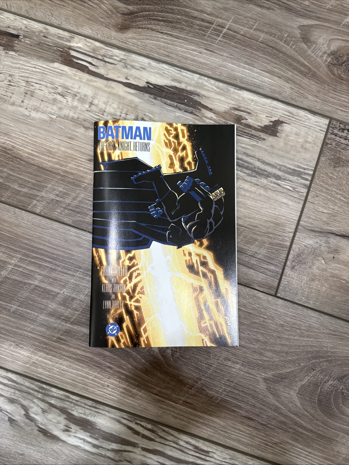 Batman: The Dark Knight Returns book one – Megacon blind bag Score