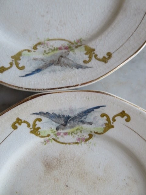 2 Old Vintage WHITE STAINED CRAZED PLATES Blue Birds Pink Flowers BEAUTIFUL!