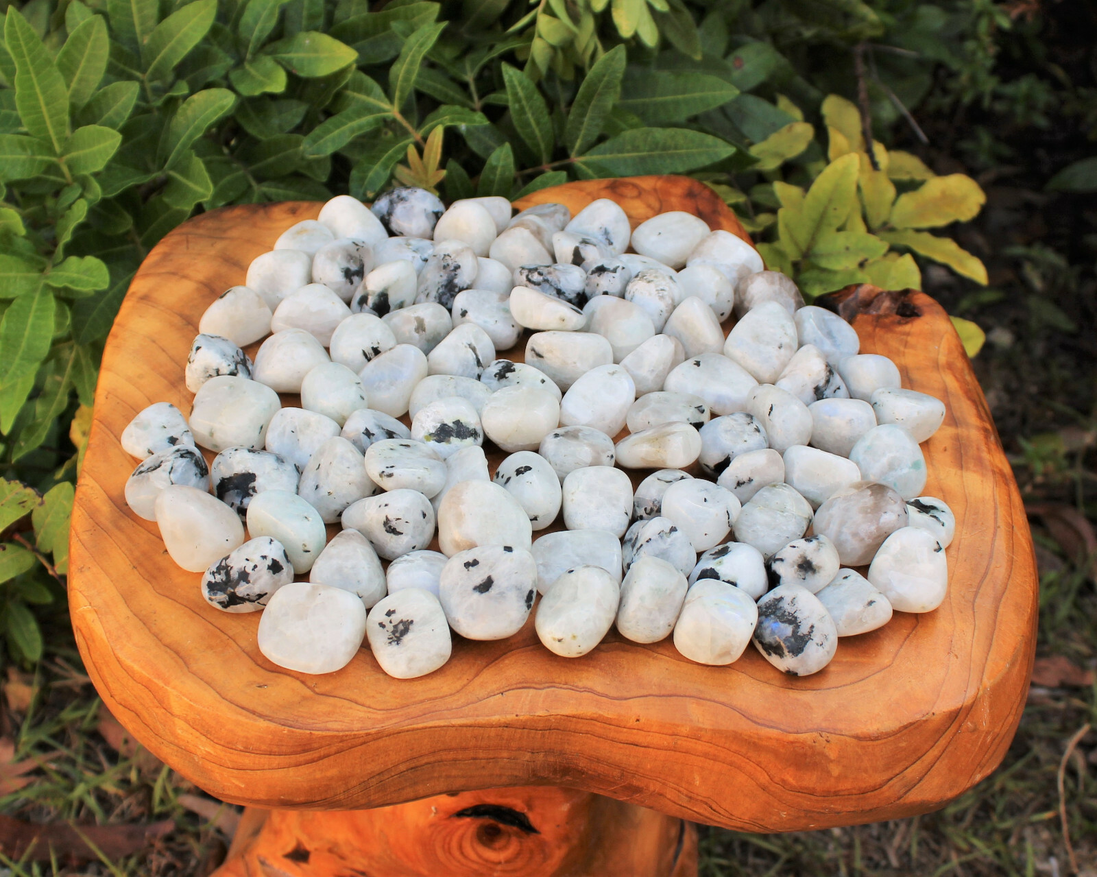 Rainbow Moonstone 5 MEDIUM LARGE Tumbled Stones (Crystal Healing) (0.75″ – 1″)