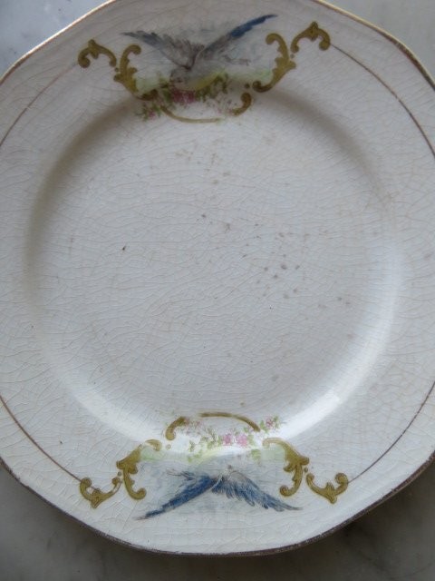 2 Old Vintage WHITE STAINED CRAZED PLATES Blue Birds Pink Flowers BEAUTIFUL!