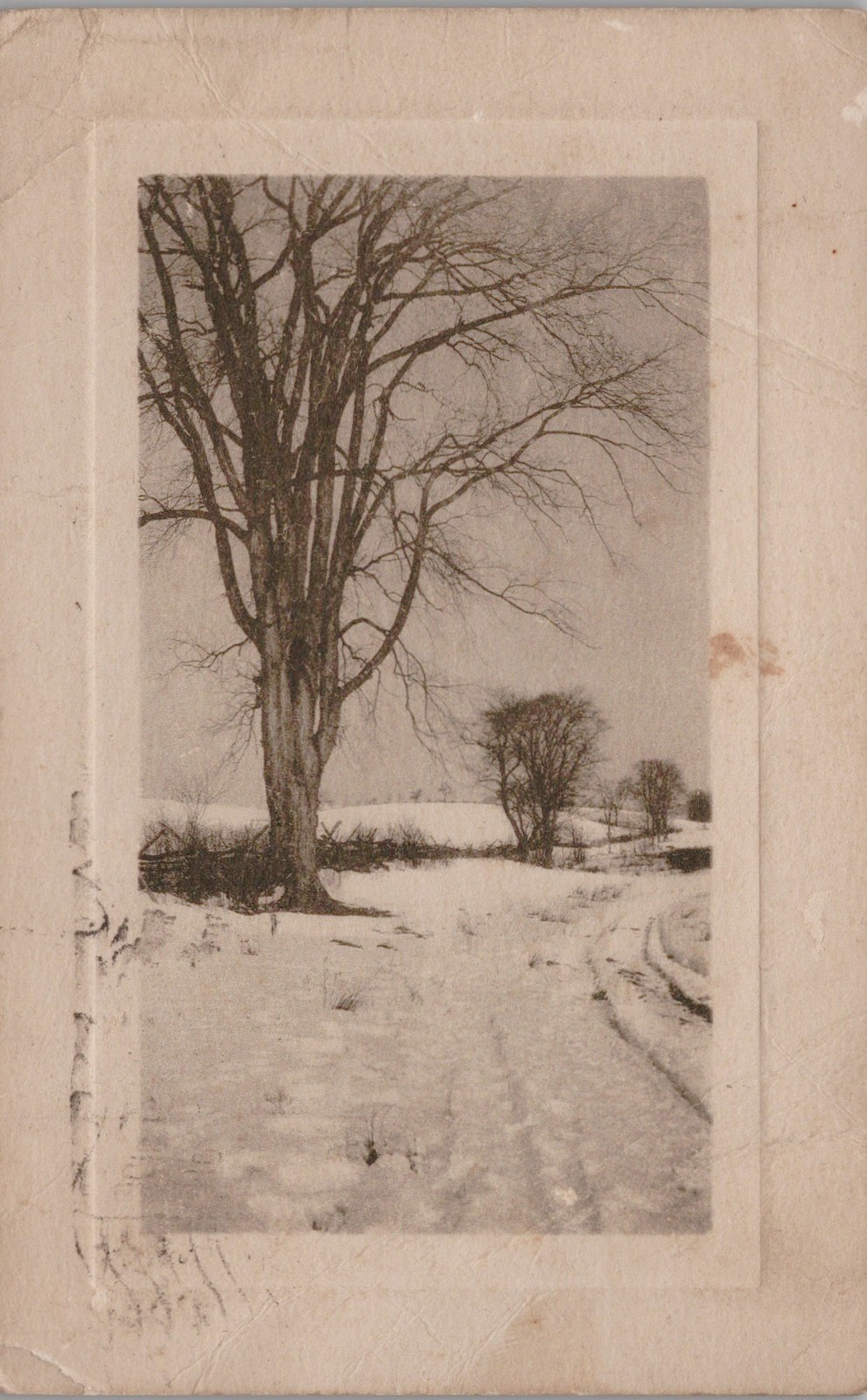 Antique Postcard Winter Snow Landscape Bare Oil City PA 1912