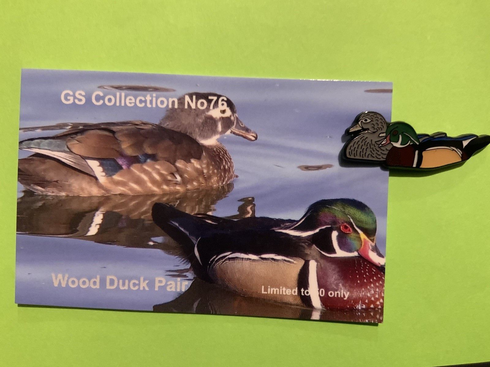 None RSPB Badges GS Collection wood duck pair