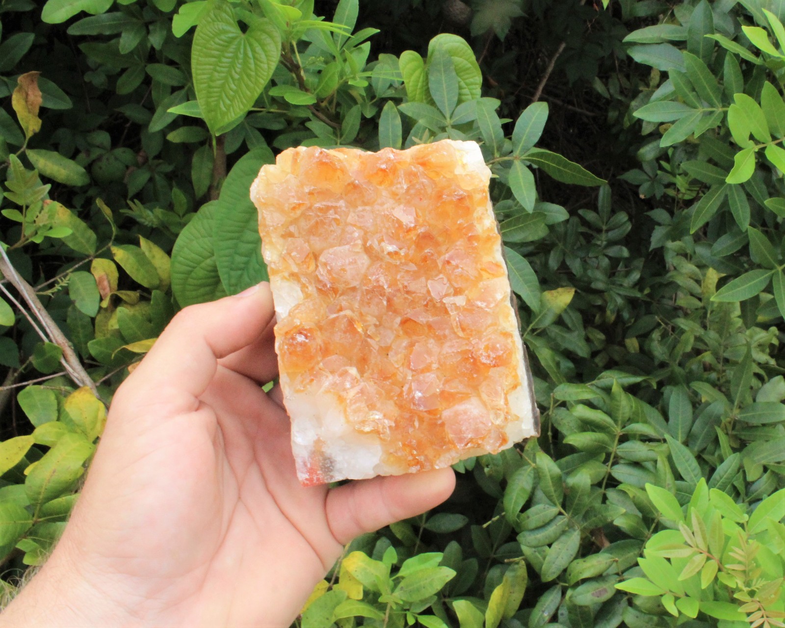 Citrine Cut Base Clusters – CLEARANCE Quality Free Standing Citrine Crystals