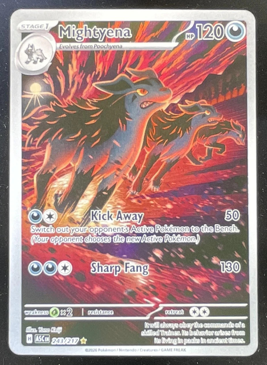 2026 Pokemon Ascended Heroes #243/217 Mightyena Illustration Rare
