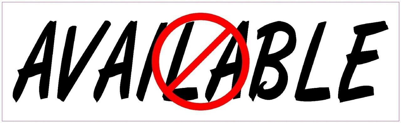 10in x 3in Not Available Funny Vinyl Bumper magnet Car magnetic