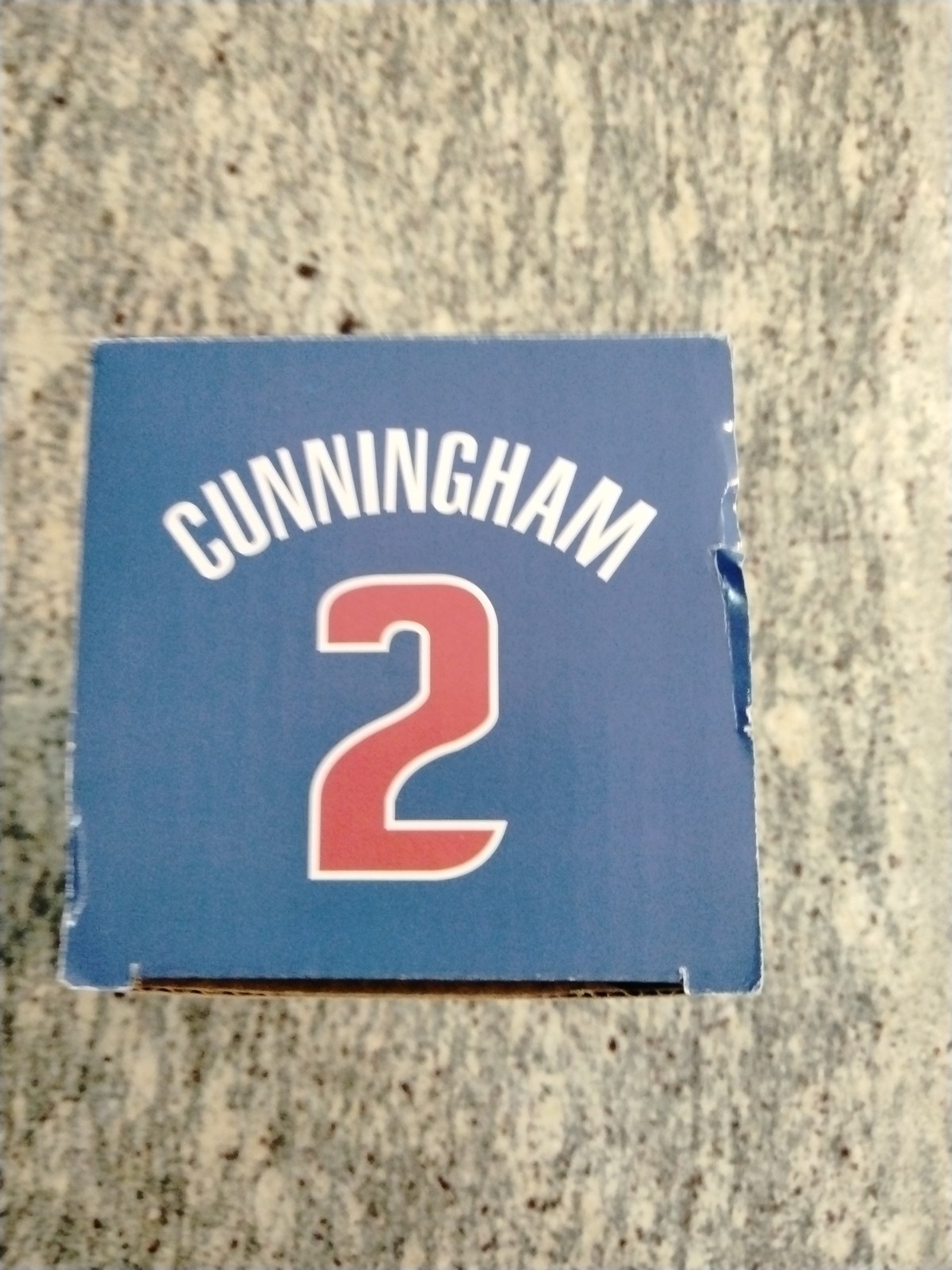 Cade Cunningham Pistons bobblehead – stockx bubble jacket 3/15/25 NEW