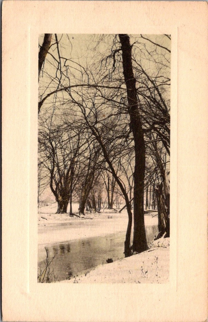Winter River Scene Postcard