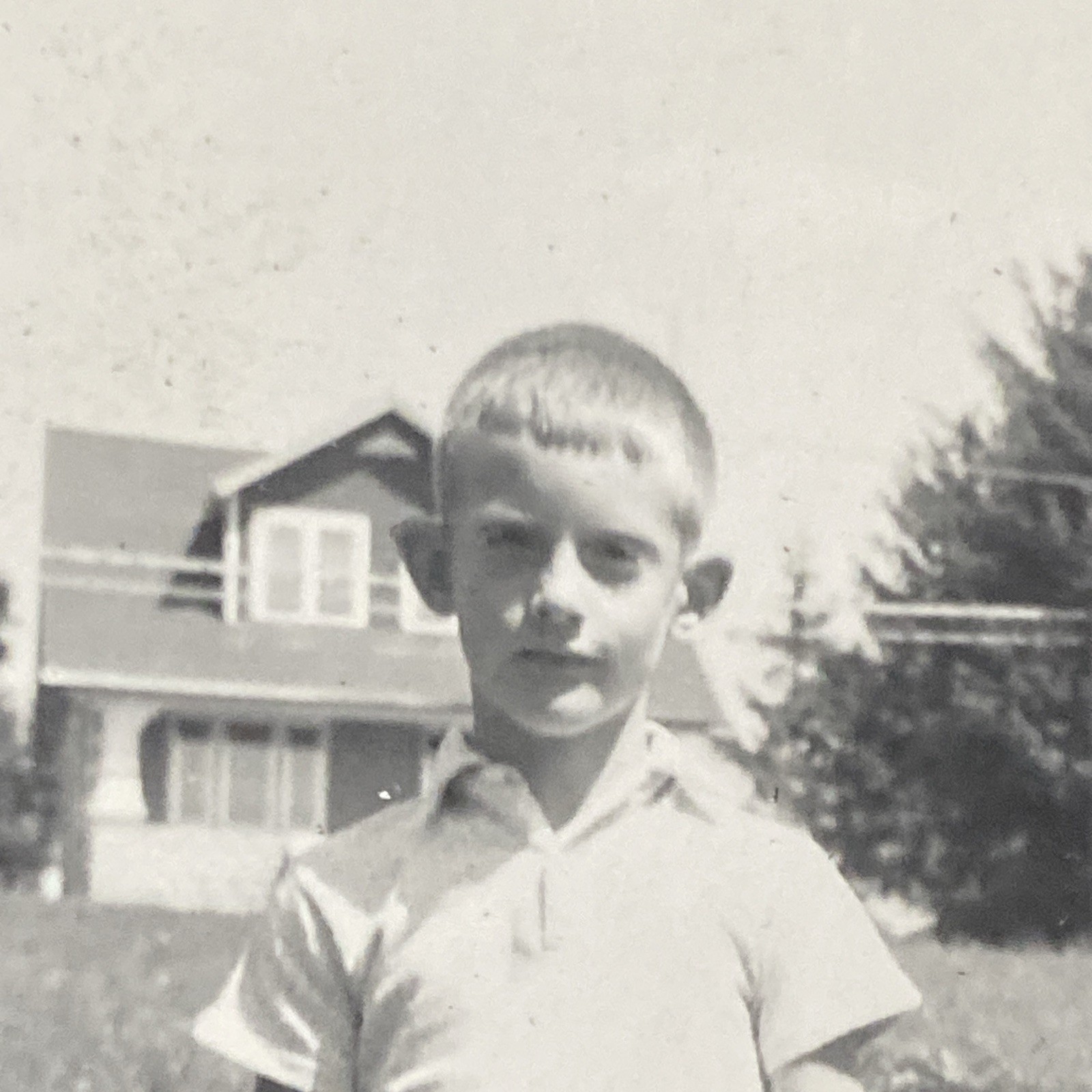 1963 Young Boy & Black Labrador Retriever Dog Flower Homes Original Photo P18m13