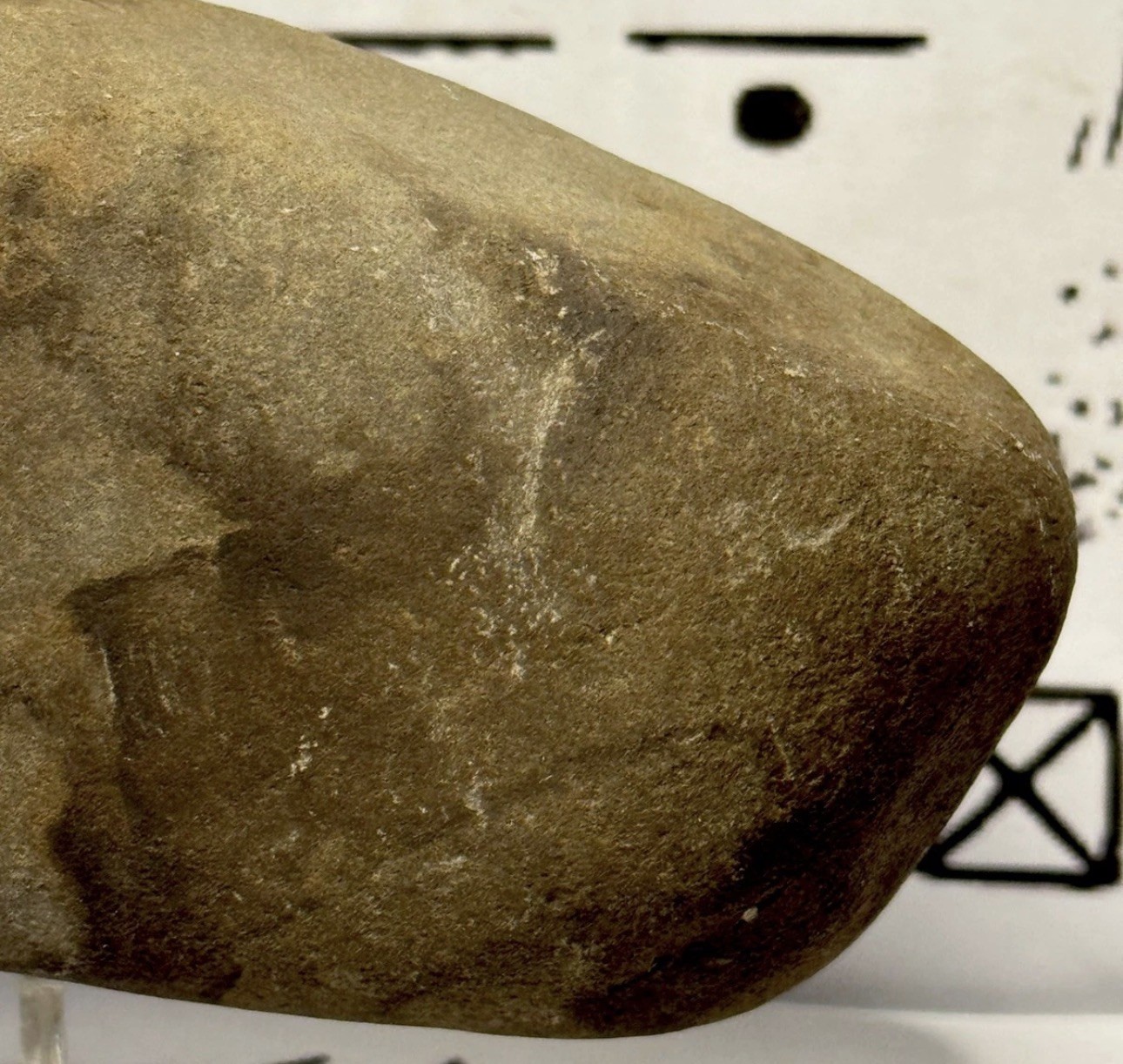 Native American Indian Authentic Stone Effigy Ancient Stone 1 lb 10 oz • VA