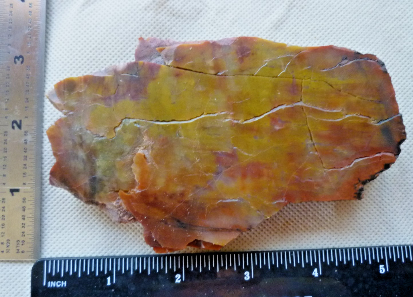 Arizona Rainbow Petrified Wood Natural State Beautiful Selection 9.5 oz Beauty!