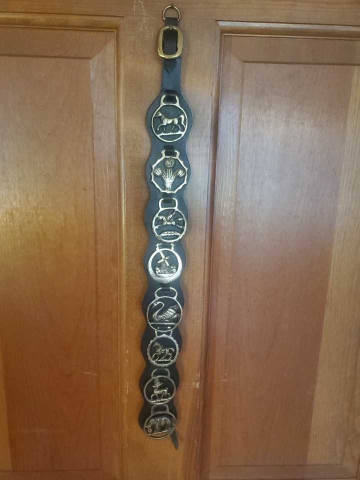 English Horse Brass~Leather~ 8 Brass Emblems~20″Long