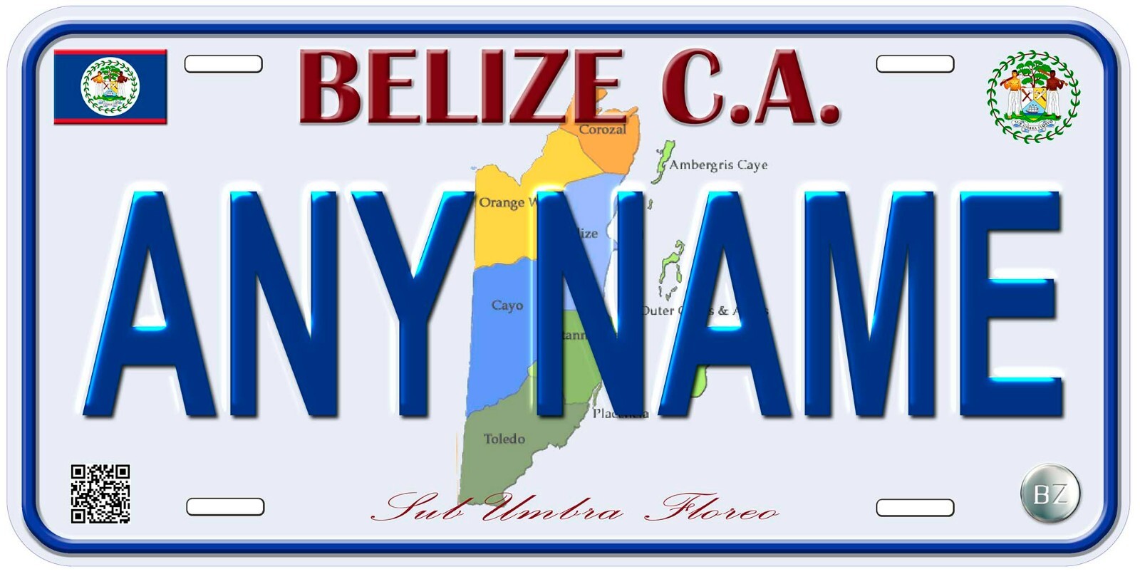 Belize Any Name Personalized Novelty Car License Plate