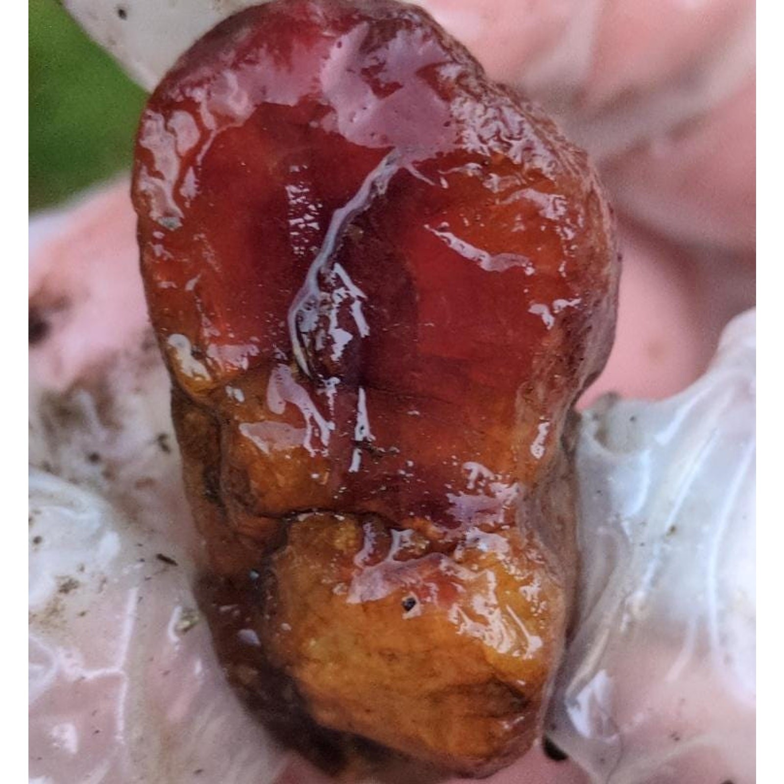 Carnelian (per lb)