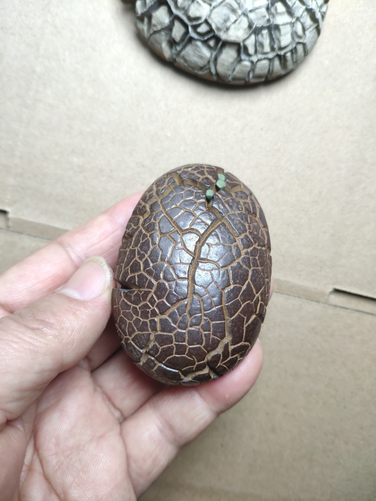 182g beautiful tortoise back pattern stone Turtle grain stone Landscape stone