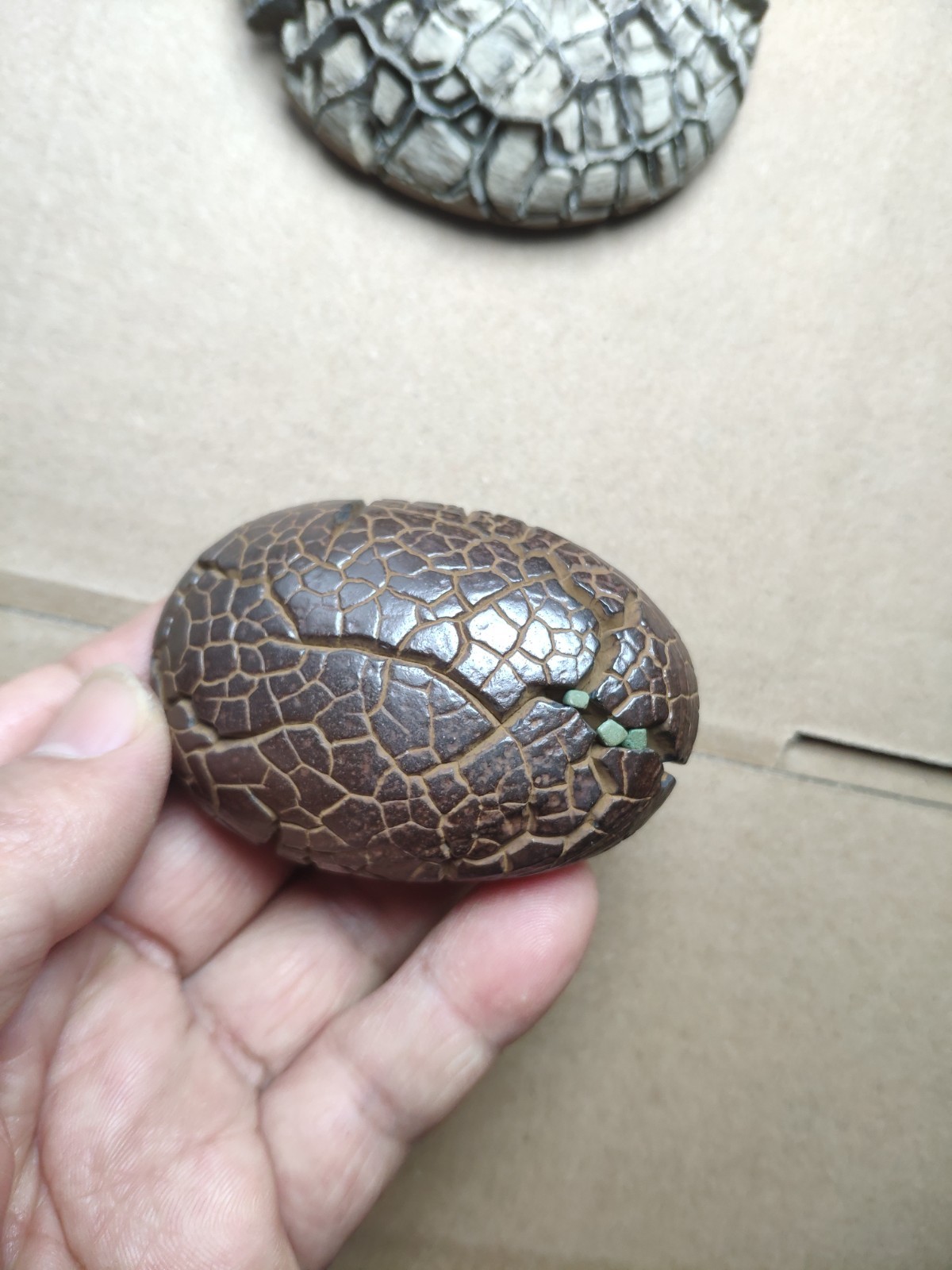 182g beautiful tortoise back pattern stone Turtle grain stone Landscape stone
