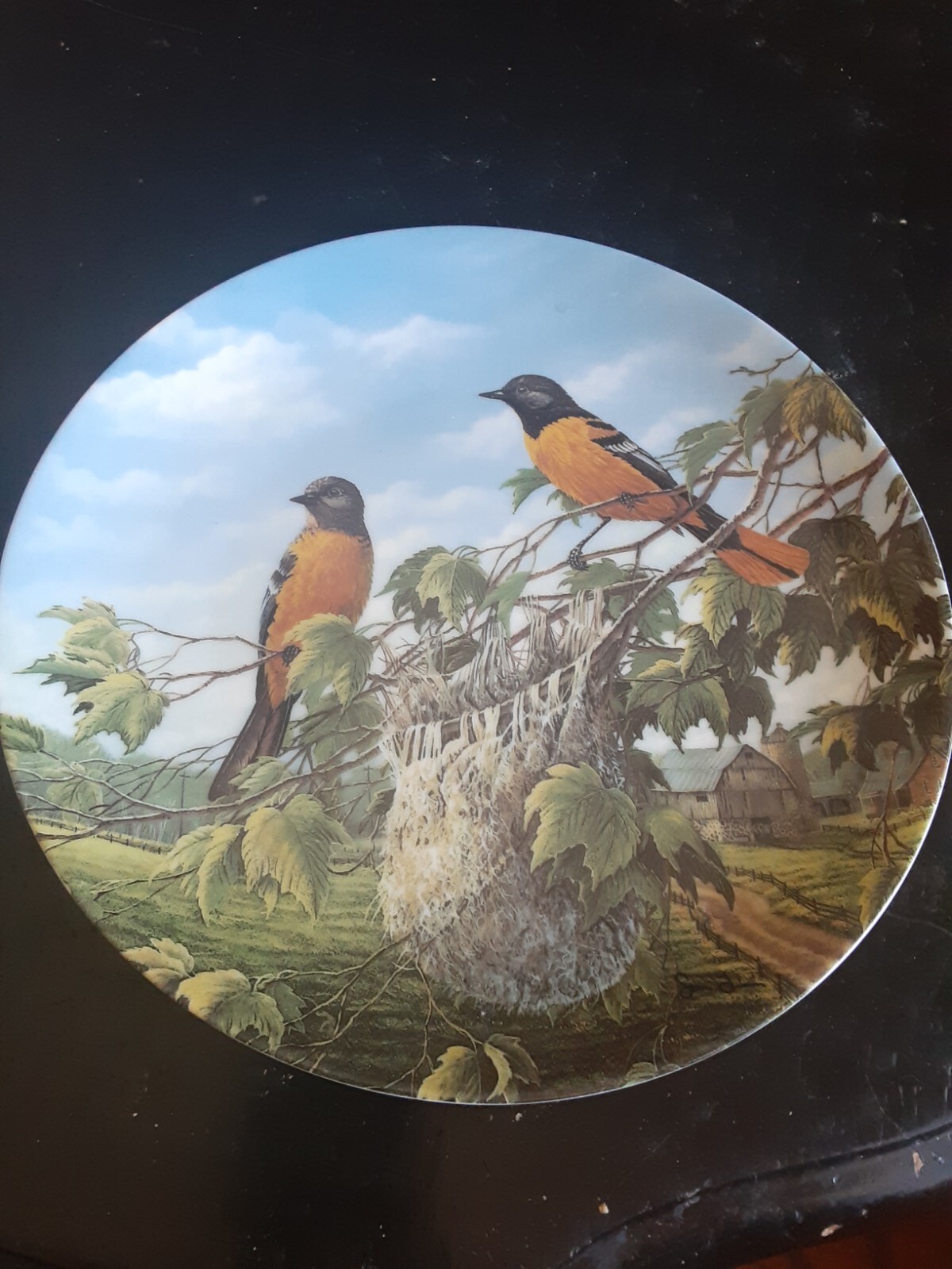 Birds Of The Seasons/Baltimore Orioles In Summer Plate, 1991 Knowles
