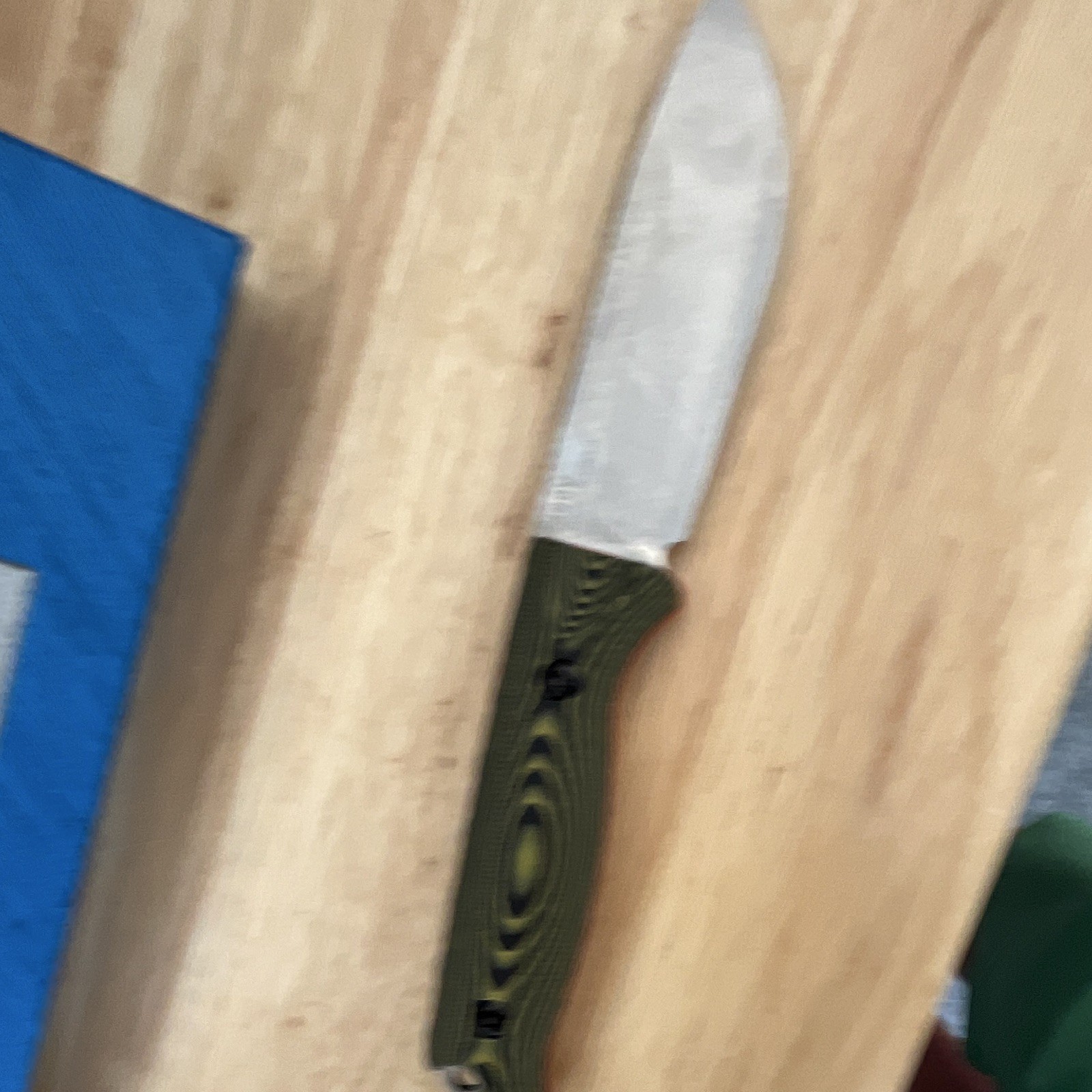 Benchmade Fixed Blade Knife Stainless Drop Point Plain, Kydex Sheath 2020