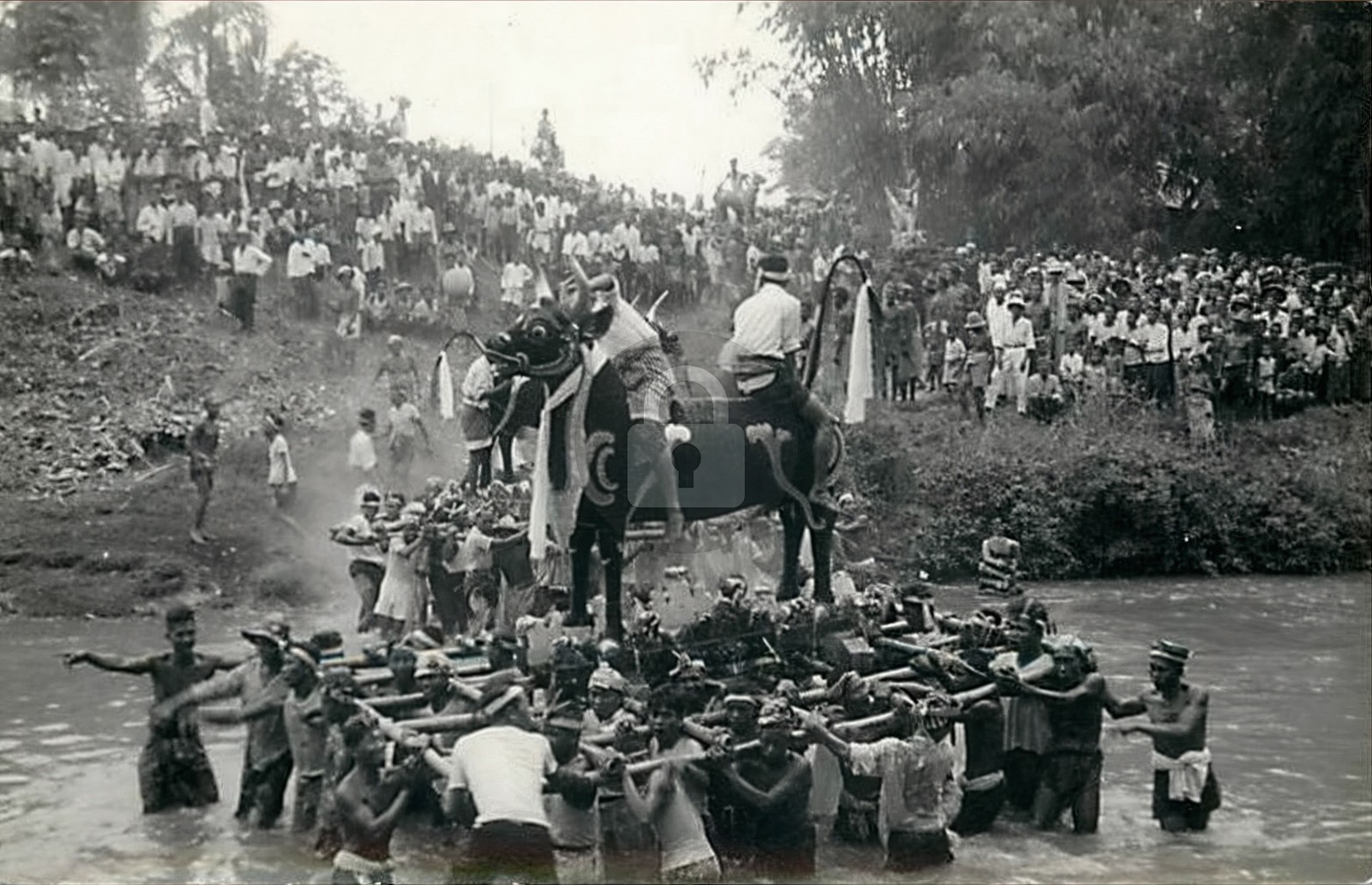 Indonesia – BALI A Day Feast RPPC Photo Postcard COPY