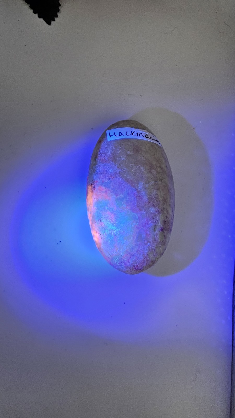 Hackmanite Crystal palm Palmstone Rare UV Reactive Purple 6.6cm 64g Orange