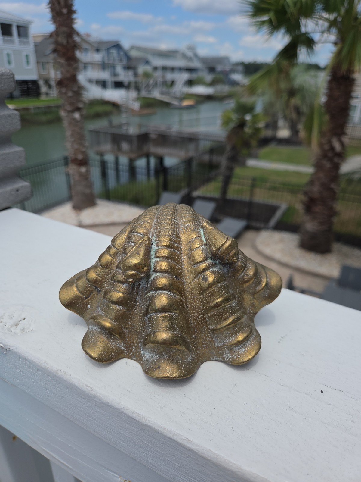Vintage Solid Brass Nautilus Shell-Mid 20th Century