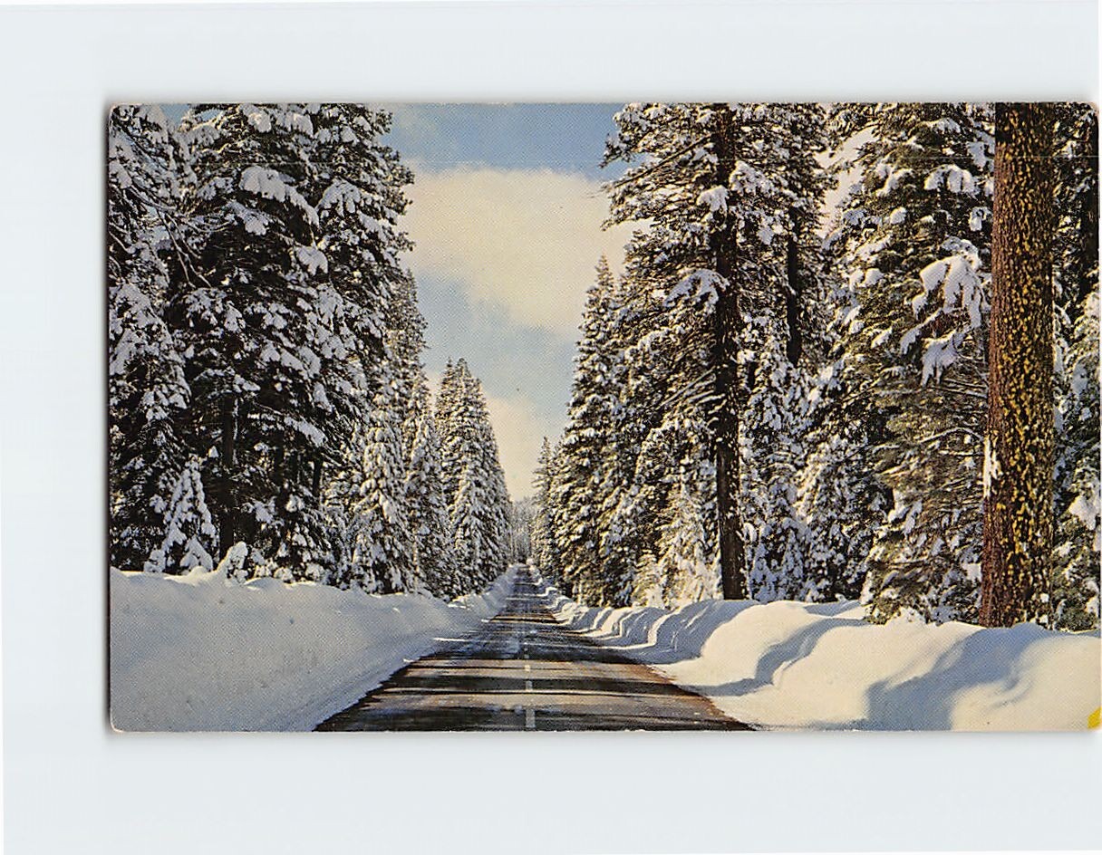 Postcard Winter In Northern California