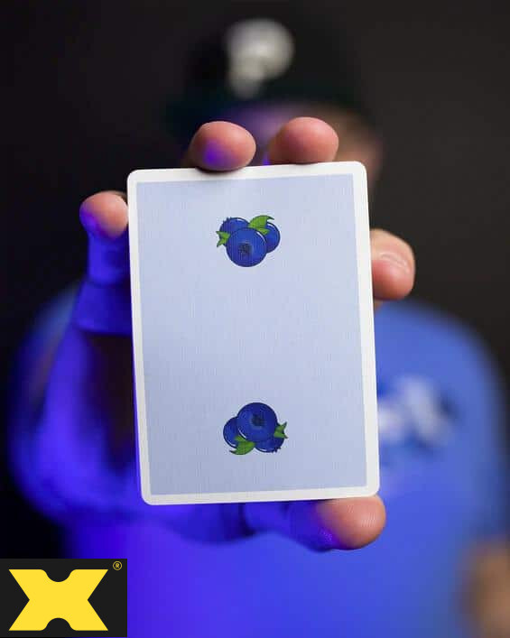 Blueberry Snackers Half Brick Collector Box by OPC Organic Playing Cards